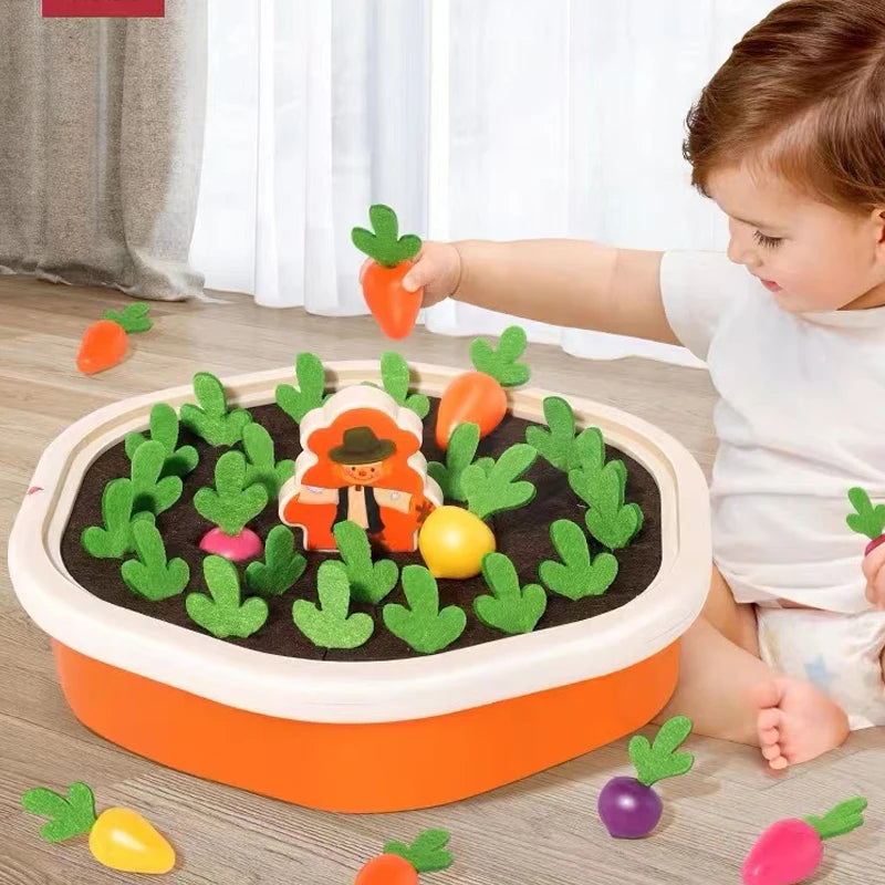 Montessori Carrot Discovery Toy