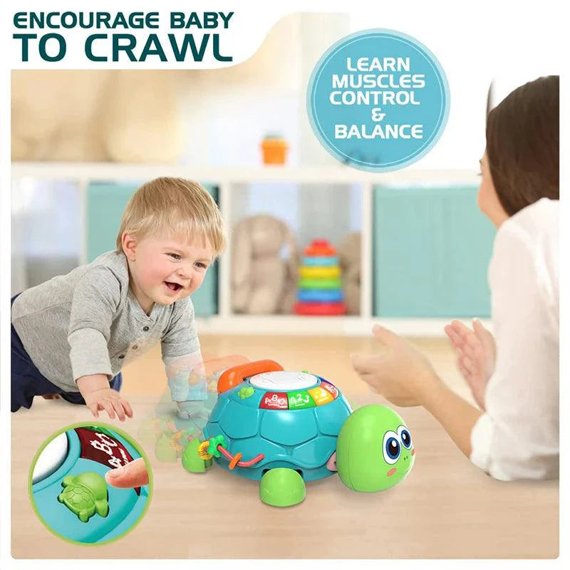 Musical Crawling Turtle Toy