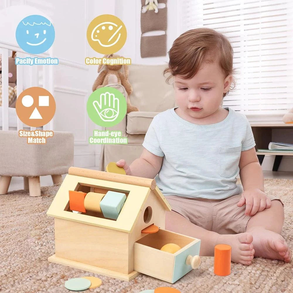 Montessori 5-in-1 Learning Toy