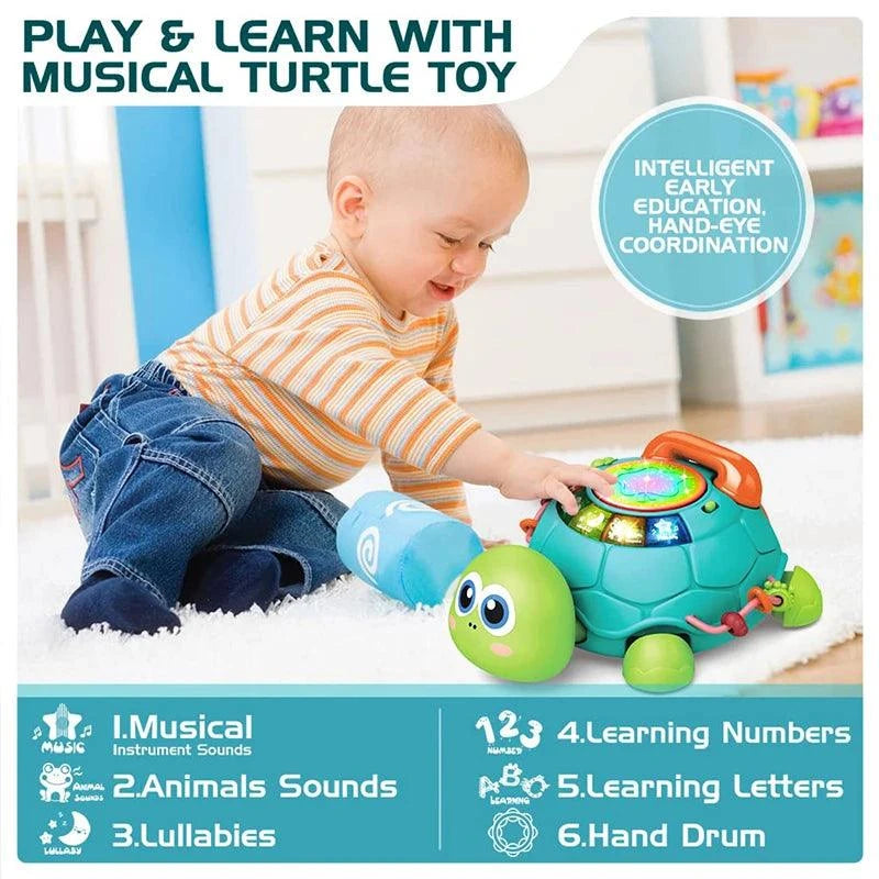 Musical Crawling Turtle Toy