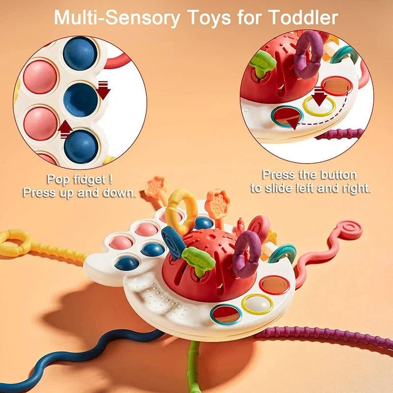 Montessori Sensory Baby Toy