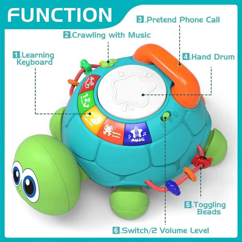 Musical Crawling Turtle Toy