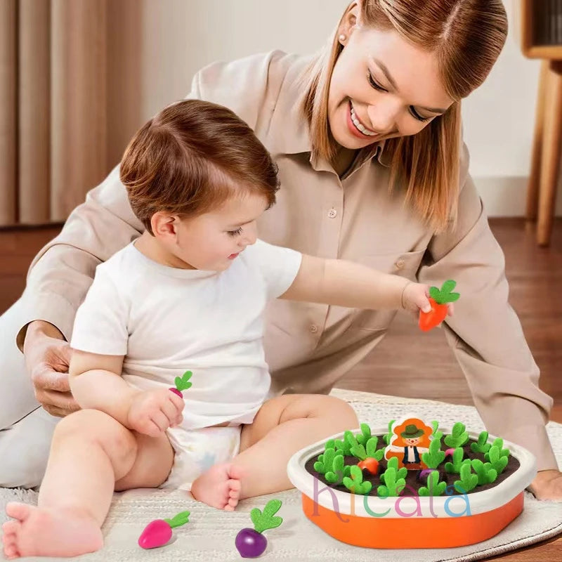 Montessori Carrot Discovery Toy